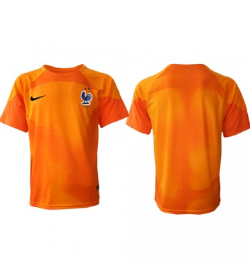 France Goalkeeper Replica Home Stadium Shirt World Cup 2022 Short Sleeve